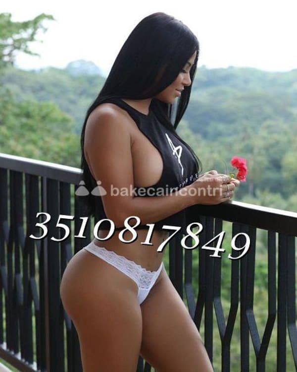 3510817849