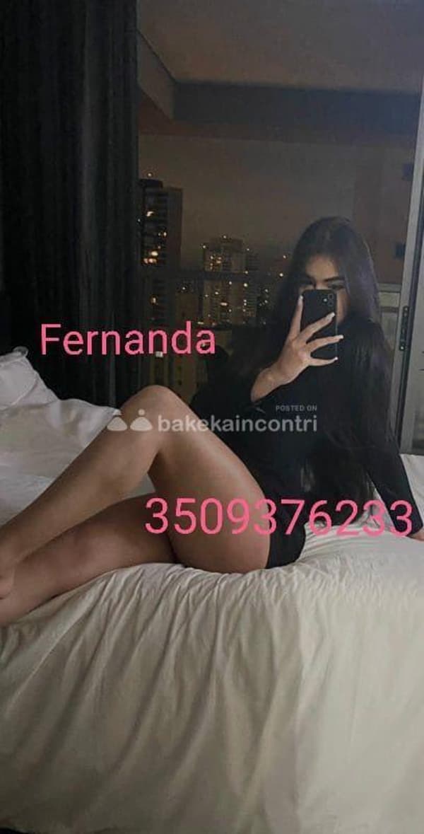 3509376233