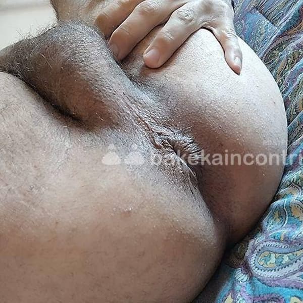 3887258841