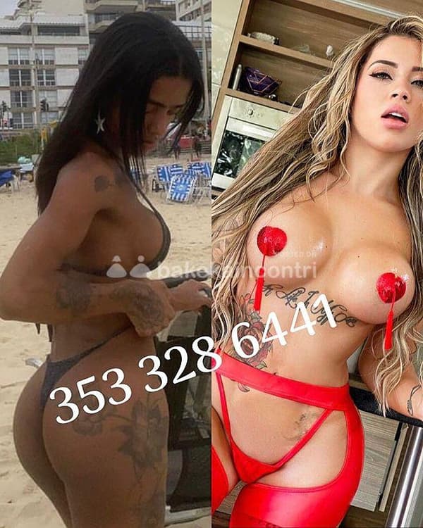 3533286441