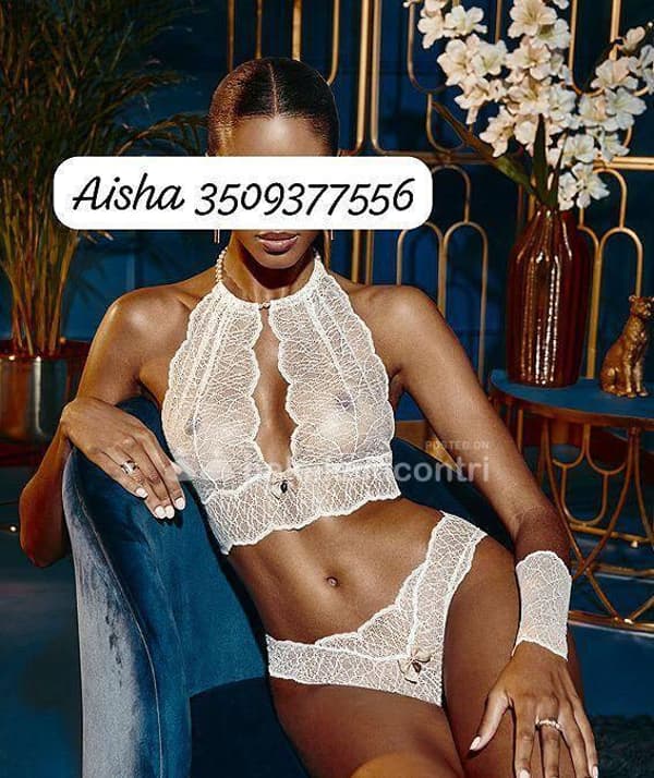 3509377556