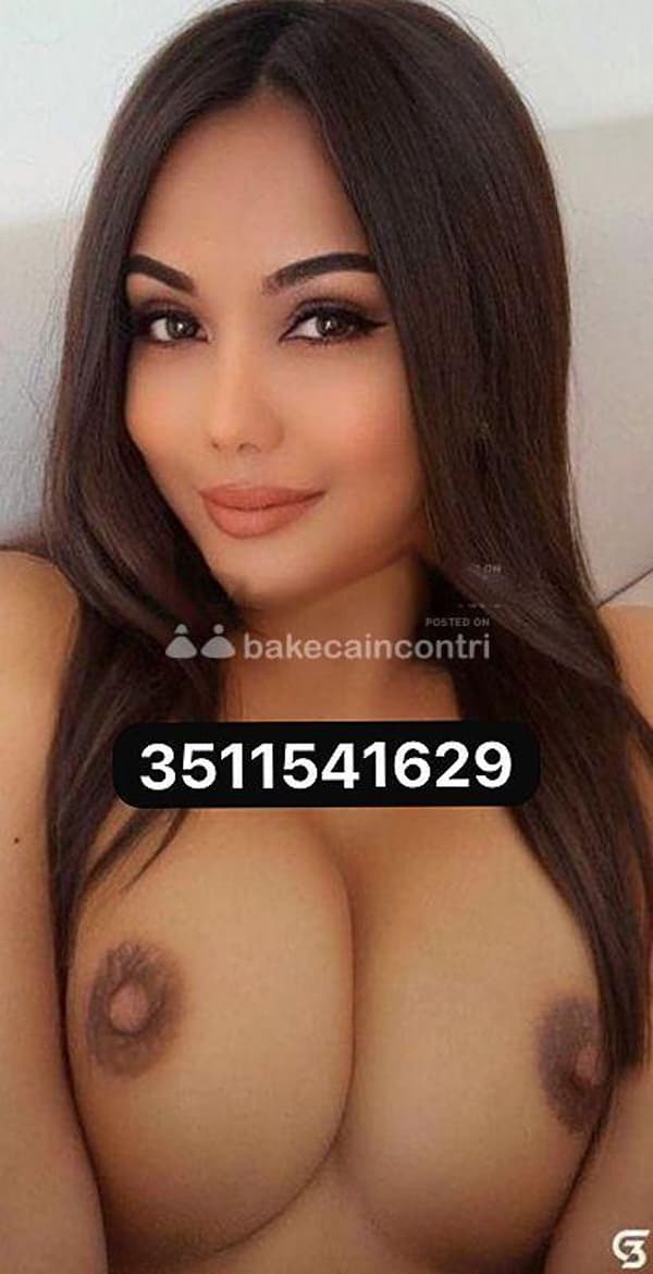 3511541629
