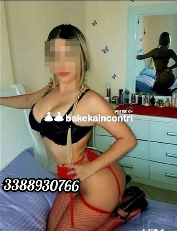 3388930766