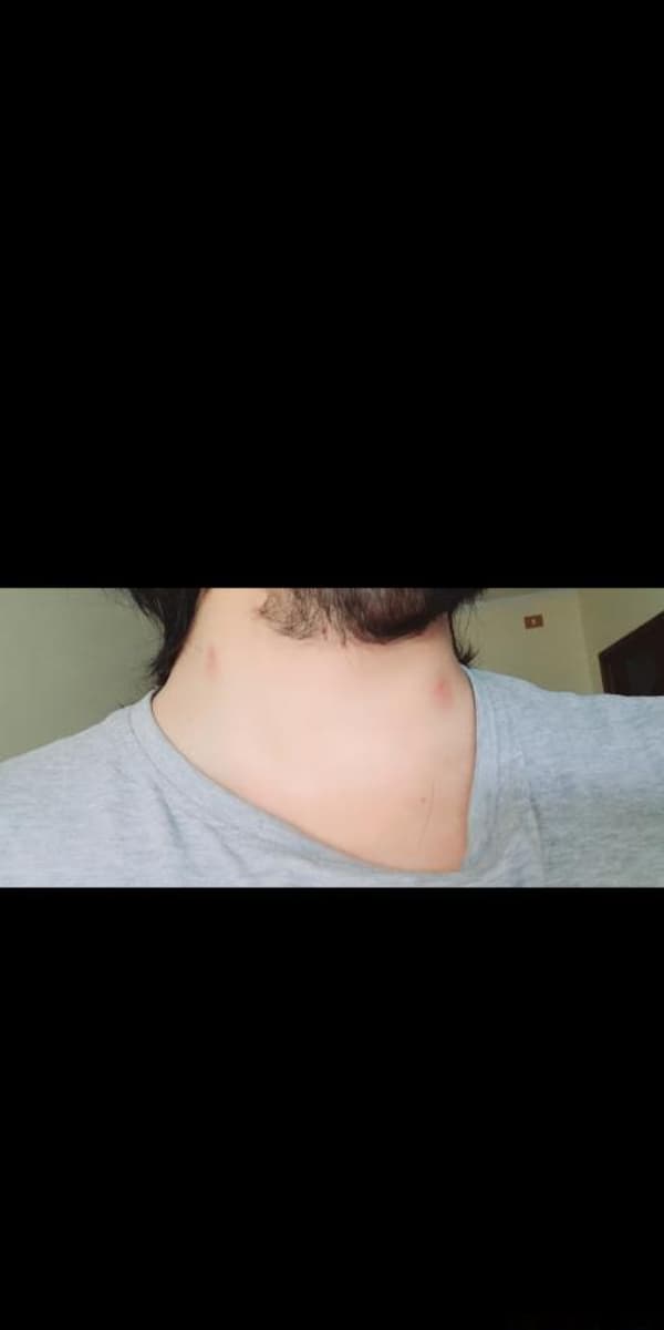 3489068183
