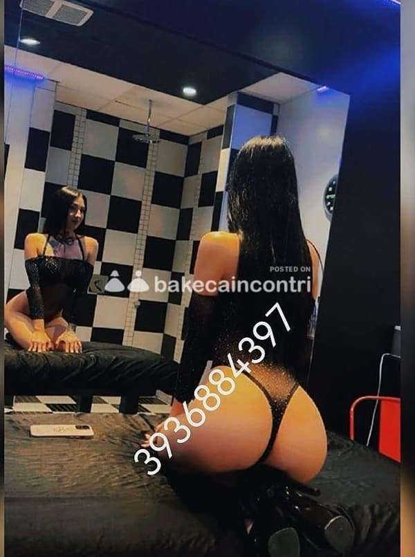 3936884397
