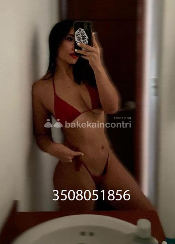 3508051856