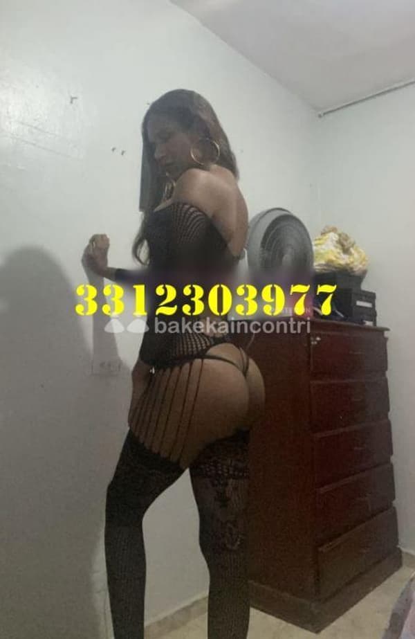 foto 3312303977
