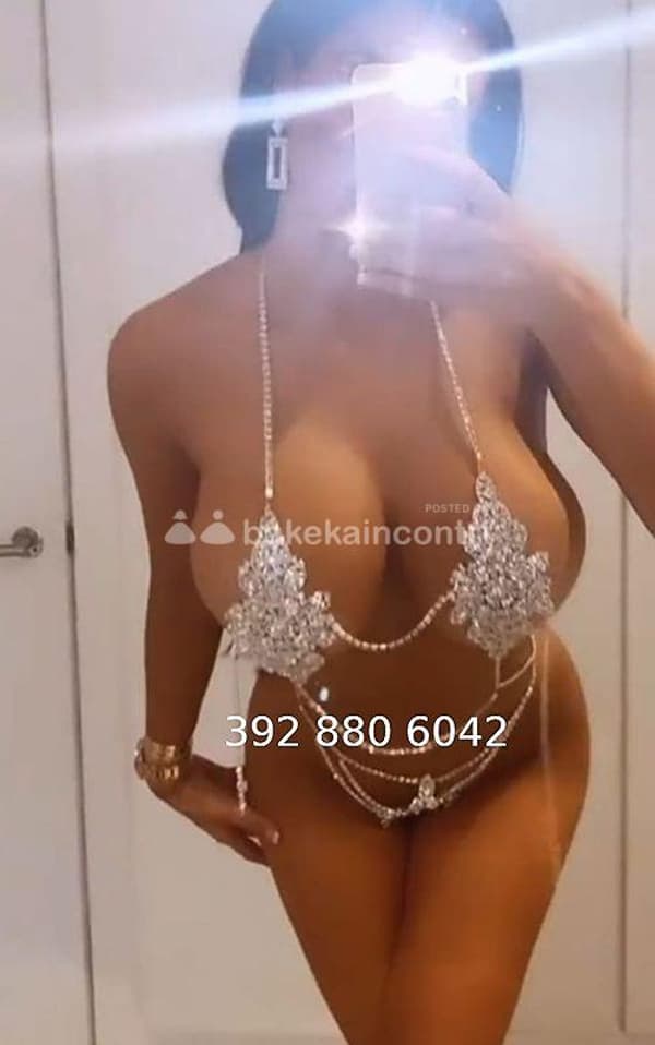3928806042