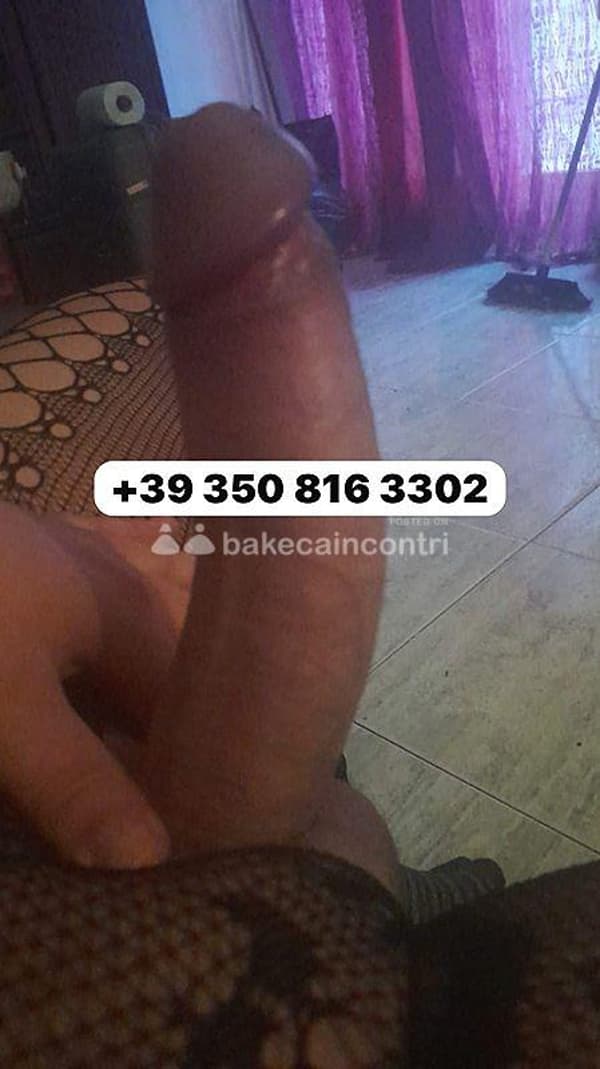 foto 3508163302