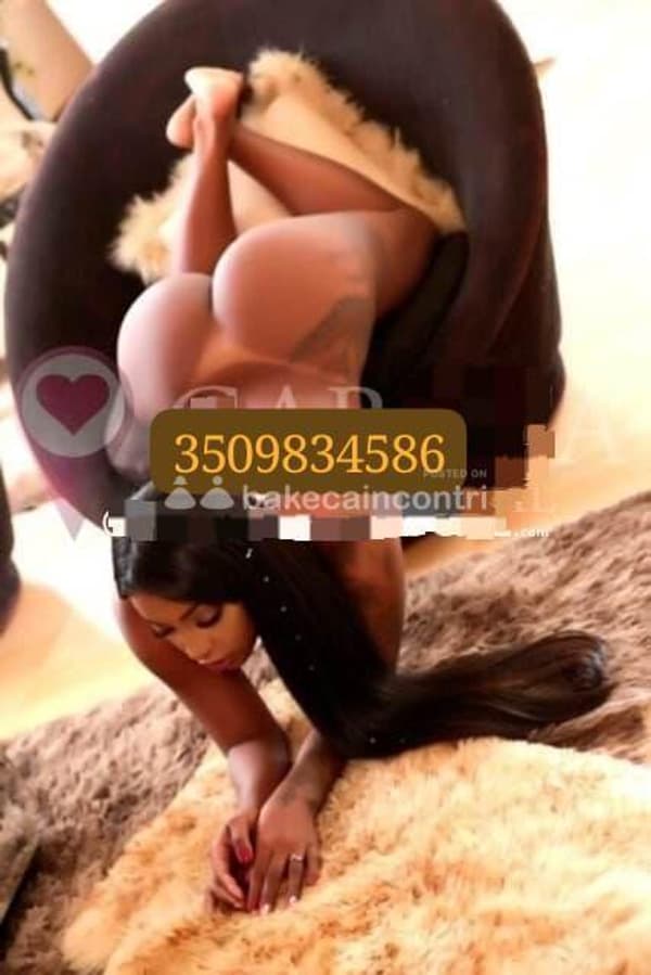 3509834586