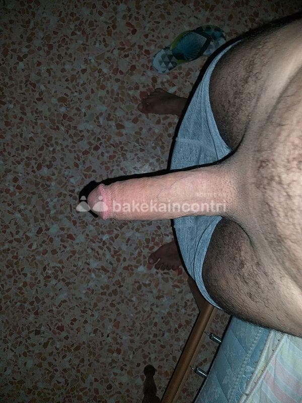foto 3293422744