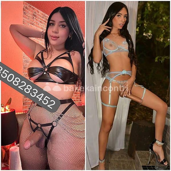 foto 3508283452