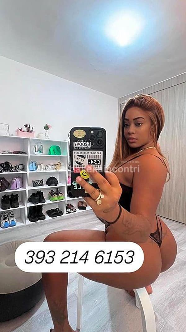 3932146153