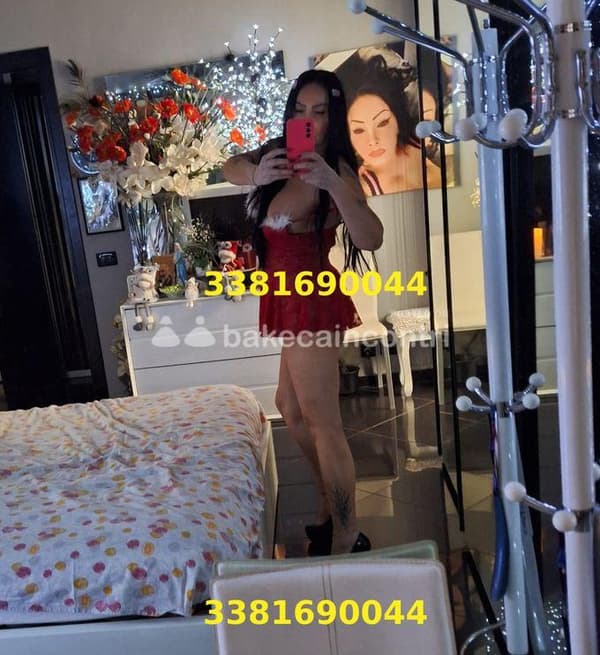 foto 3381690044