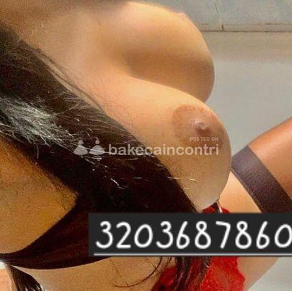 3203687860