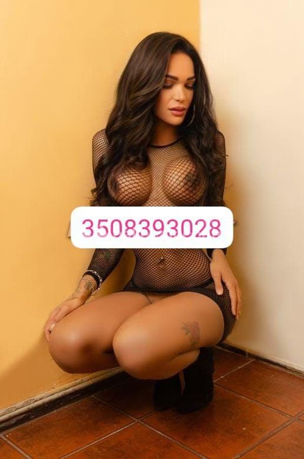 3508393028