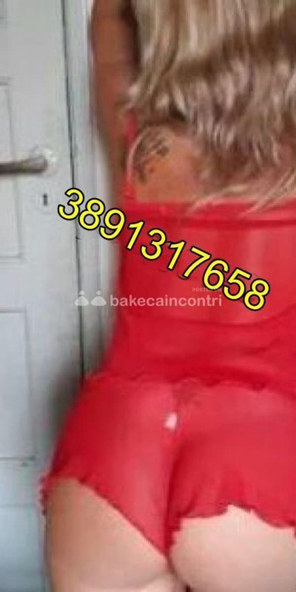 3891317658