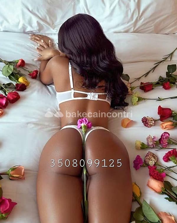 foto 3508099125