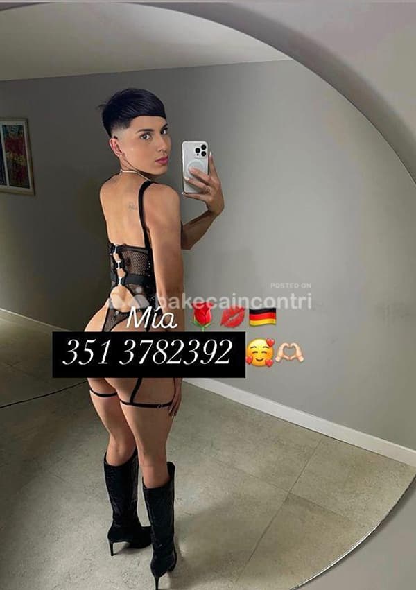3513782392