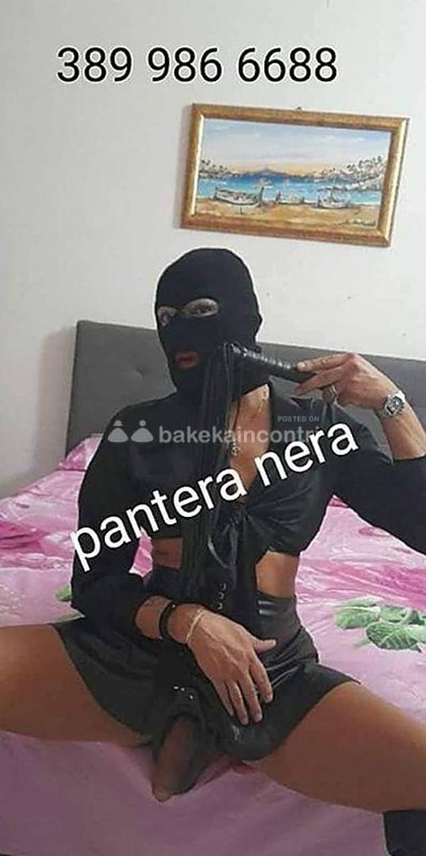 3663807898