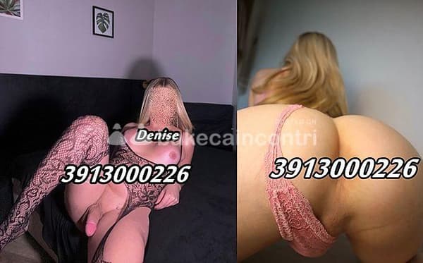 3913000226