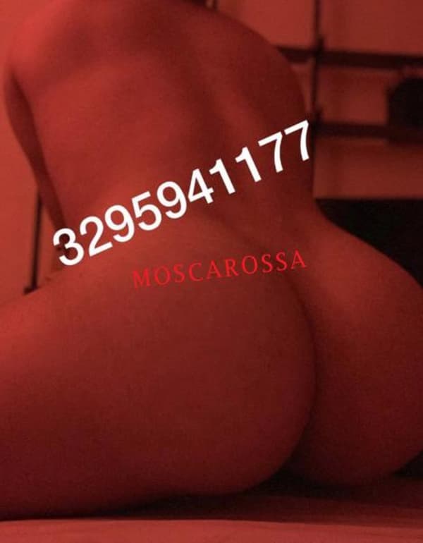 3295941177